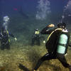 Picture taken during the dive
