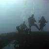 Picture taken during the dive