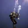 Picture taken during the dive