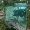 Picture taken during the dive