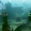 Picture taken during the dive