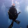 Picture taken during the dive