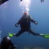 Picture taken during the dive
