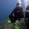 Picture taken during the dive