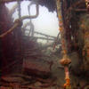 Picture taken during the dive