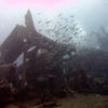 Picture taken during the dive