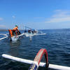 Picture taken during the dive