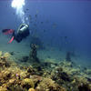 Picture taken during the dive