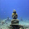 Picture taken during the dive