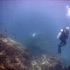 Picture taken during the dive