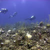 Picture taken during the dive