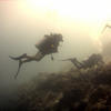 Picture taken during the dive