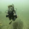 Picture taken during the dive