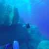 Picture taken during the dive
