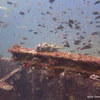 Picture taken during the dive