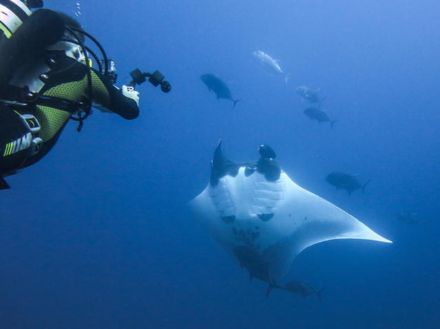 Kon-Tiki Khao Lak - Dive Center in Thailand