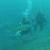 Picture taken during the dive