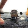 Picture taken during the dive