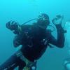 Picture taken during the dive