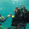 Picture taken during the dive