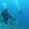 Picture taken during the dive