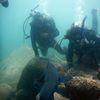 Picture taken during the dive