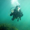 Picture taken during the dive