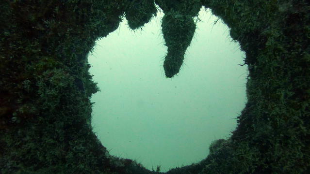Nautilus Watersports Ltd - Dive Center in Vanuatu