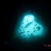 Picture taken during the dive