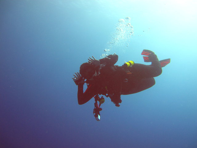 Dive Adventuras - Dive Center in Mexico