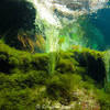 Picture taken during the dive