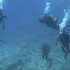 Picture taken during the dive
