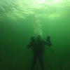 Picture taken during the dive