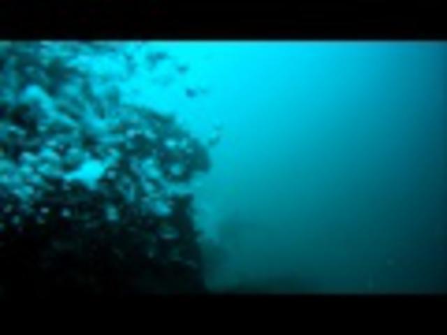 Epsilon Dive Center - Dive Center