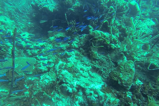 DiveVersity Blue Bay - Dive Center