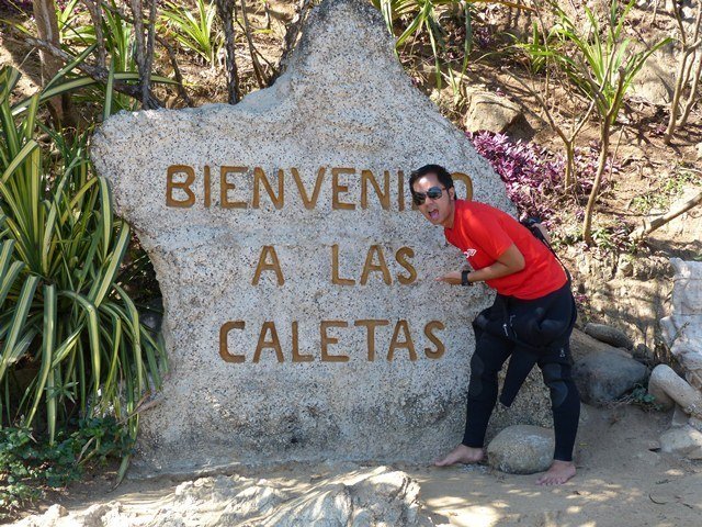 Vallarta Adventures - Dive Center