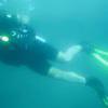 Picture taken during the dive
