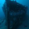 Picture taken during the dive