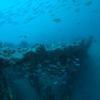 Picture taken during the dive