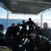 Picture taken during the dive