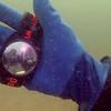 Picture taken during the dive