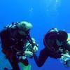 Picture taken during the dive