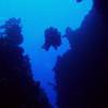 Picture taken during the dive