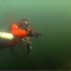 Picture taken during the dive