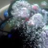 Picture taken during the dive