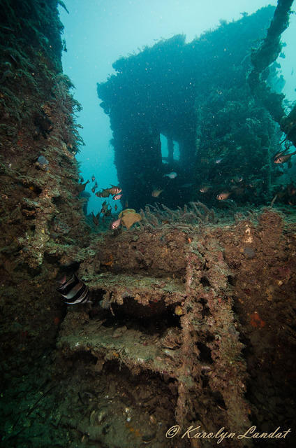 Adelaide Scuba - Dive Center in Australia