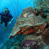 Picture taken during the dive