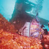 Picture taken during the dive