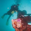 Picture taken during the dive