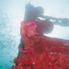 Picture taken during the dive
